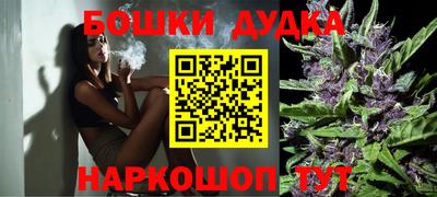 стаф Ставрополь
