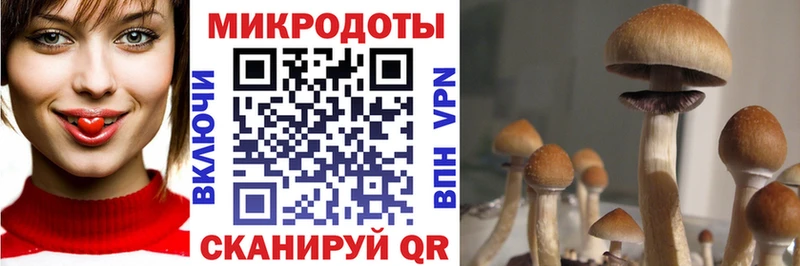 Галлюциногенные грибы Cubensis  Сатка 