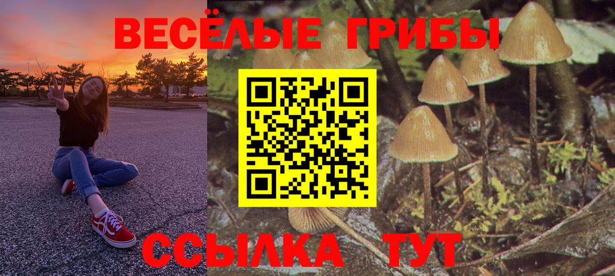 Галлюциногенные грибы ЛСД  Вход с VPN  Сатка  Галлюциногенные грибы Magic Shrooms 