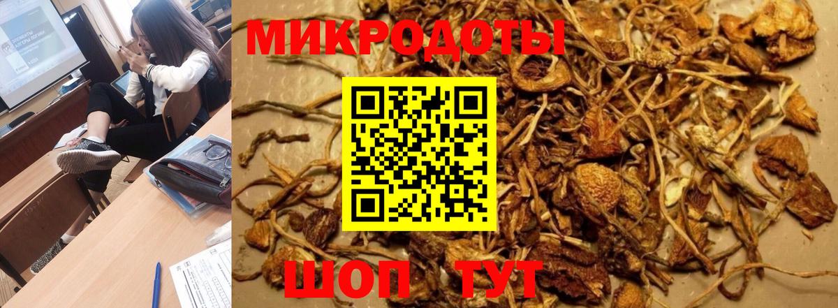 Псилоцибиновые грибы Psilocybe Сатка